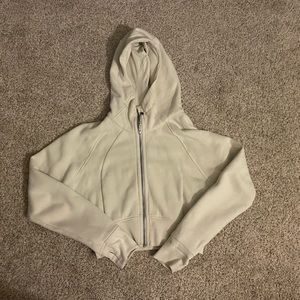 Scuba Full-Zip Cropped Hoodie